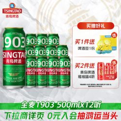 青岛啤酒 全麦1903精酿啤酒500ml*12听