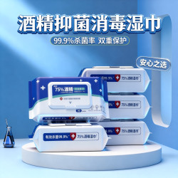 简禾 75%酒精湿巾 80抽*10包