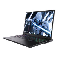 雷神 猎刃超竞 i5-14450HX 16G 1TB RTX5060 2.5K 240Hz 黑色