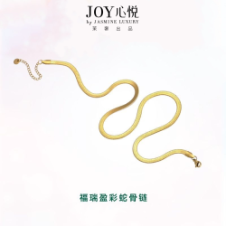 茉奢 福瑞盈彩蛇骨链小众设计简约ins风锁骨链高级感日常秋冬新款