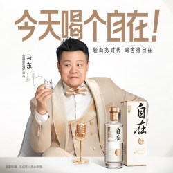 舍得 酒自在29度500ml*1瓶低度酒浓香型白酒节日送礼白酒