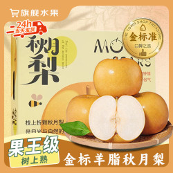 鲜其 山东莱阳秋月梨新鲜梨子当季现摘现发整箱孕妇水果冰糖梨爆甜多汁 5斤 果王级I单果400g+