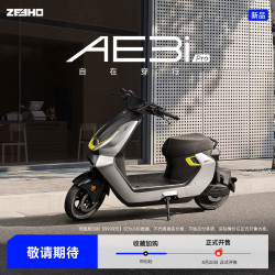 ZEEHO 新国标电动自行车铅酸智能48V电动车 AE3i Pro