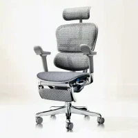 值友专享：Ergonor 保友金豪E2 Pro旗舰人体工学椅 办公椅电脑椅银白云感坐垫+躺舒宝