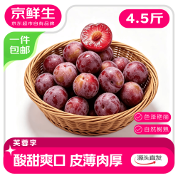 京鲜生 福建古田芙蓉李 净重4.5斤装 单果40g+ 酸脆生鲜水果 源头直发