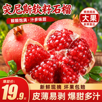 融鲜 四川突尼斯软籽石榴礼盒 5斤精选果 单果6-8两 净重4.5斤