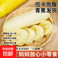 京喜加 现摘小米蕉新鲜网红拇指小香蕉青蕉发货水果 9斤装（实惠）