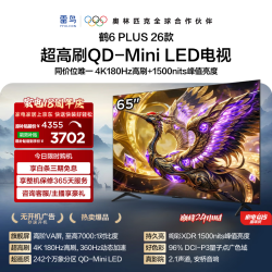 雷鸟 鹤6 Plus 26系列 65R69A Plus 液晶电视 65英寸 伸缩挂架