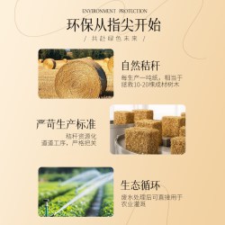 圣泉 绿色抽纸一提十包家用实惠装可湿水小包装400抽原色生态纸抽