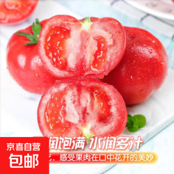 新鲜沙瓤西红柿蔬菜生鲜减肥单果75g+ 新鲜西红柿 2斤 带箱
