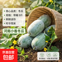 那 水果小冬瓜 农家新鲜自种煲汤火锅炖菜 应季蔬菜2.5斤带箱 新鲜水果小冬瓜 2斤 带箱2斤