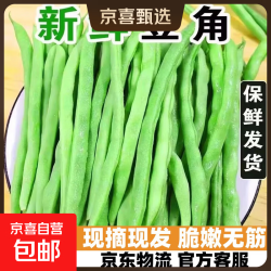 新鲜四季豆当季时令蔬菜现摘豆青豆角产地批发包邮发货 带箱5斤