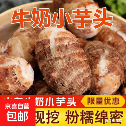 山东牛奶牛奶小芋头带箱2斤