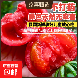 金 自营正宗山东普罗旺斯4斤带箱
