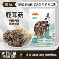 丞悦 鹿茸菇 炖汤爆炒 小包装250g