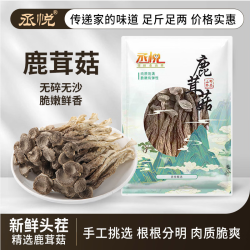丞悦 鹿茸菇  炖汤爆炒  小包装250g