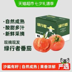 绿行者 番茄5斤西红柿 2.25kg