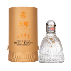 五粮液 火爆羽毛球52度500mL浓香白酒五粮液官旗正品