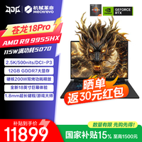 机械革命 苍龙16Pro游戏本满血5060独显笔记本电脑16英寸RAJG