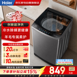 海尔 洗衣机波轮10公斤 全自动变频 小型租房宿舍超净洗波轮洗衣机XQB100-Z619