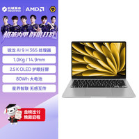 机械革命 超薄高性能电脑旗舰店学生办公便携商务游戏笔记本RAJG