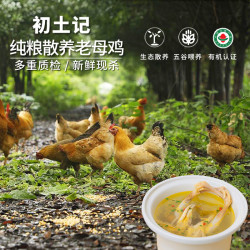 初土记 有机老母鸡1kg/只 林下散养2年皖南老母鸡 土鸡走地鸡年货礼盒