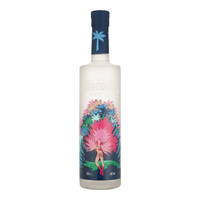 Casamigos Karneval 狂欢节伏特加 500ml
