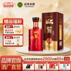 迎驾贡酒 淮南子尊品42度450ml单瓶浓香型纯粮白酒