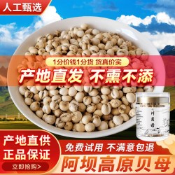 益蝉堂 阿坝野生川贝母特级无硫松贝米贝粒干四川川贝粉中药材100克