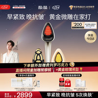 极萌黄金微雕美容仪家用面部V脸淡纹抗皱提拉紧致嫩肤消水肿双下巴瘦脸仪器化妆镜