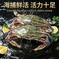 大海船说 舟山梭子蟹活鲜海蟹 海捕鲜活白蟹 鲜活 梭子蟹 3-5两/只