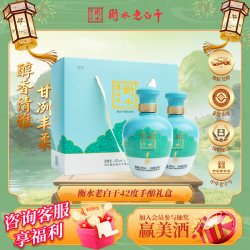 衡水老白干 手酿礼盒白酒  伴手礼  42度500ml*2瓶装 送礼口粮白酒