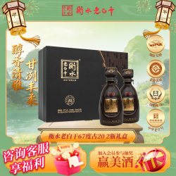 衡水老白干 礼盒古法20经典67度500ml *2瓶装纯粮白酒送礼倍有面