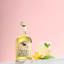 生龙 米酒桑葚酒青梅酒桂花酿水果酒10度低度微醺原汁发酵型375ml
