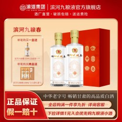 滨河九粮液 滨河九粮春53度白酒礼盒送长辈500ml*2瓶九粮香型纯粮酿造粮食酒