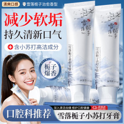 雅牙仕 雪落栀子牙膏小苏打清洁牙齿减少软垢清新口气 清新牙膏共2支