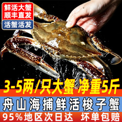 大海船说 舟山梭子蟹活鲜海蟹 3-5两/只 5斤