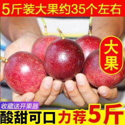 纯香果 广西百香果5斤大果包邮新鲜水果百香果酱原浆当季白香果紫皮整箱9
