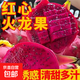 京喜加 国产红心火龙果金都一号新鲜水果越皱皮越甜中小果 带箱1斤  单果200g+