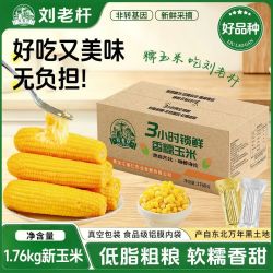 刘老杆 东北当季糯玉米 1.76kg 真空包装整箱