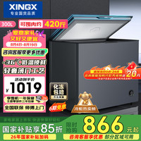 星星 零下30℃ 冰柜  300L