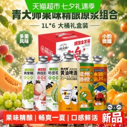 qingdashi 果味精酿啤酒1L*6桶六重风味口感鲜活泡沫丰富小酌优选聚餐