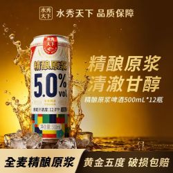 水秀天下 千岛湖水秀天下精酿原浆啤酒冰镇畅享500ml*12罐高浓度全麦整箱