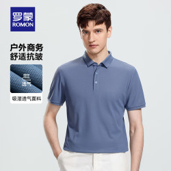 罗蒙 男士短袖T恤2026夏季新款时尚中年百搭T恤衫简单商务潮流套头衫 雅兰 2XL 185(建议150-170斤)