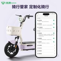 百亿补贴：绿源 x源行者专供新国标电动自行车48V20A铅酸电瓶车长续航电动车