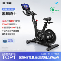 麦瑞克 动感单车健身房级家用自发电磁控器材室内自行车黑曜骑士MR-S12B3