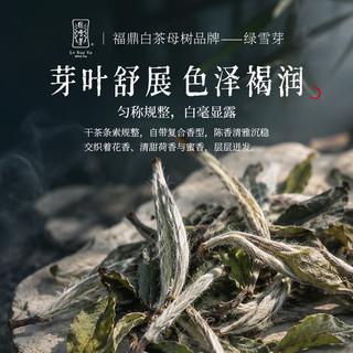 绿雪芽 21年白牡丹 福鼎白茶
