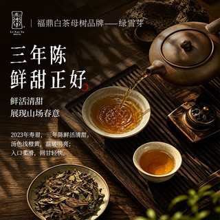 绿雪芽 寿眉白茶 260g罐装