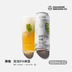 大九酿造 降临浑浊IPA啤酒500ml罐装国产精酿鲜啤易拉罐清爽全开盖