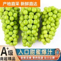 元珍鲜诚 四川阳光玫瑰葡萄晴王 礼盒装 水果新鲜当季 无籽香印晴高甜  含箱5斤净重4斤精选果单果8-16g